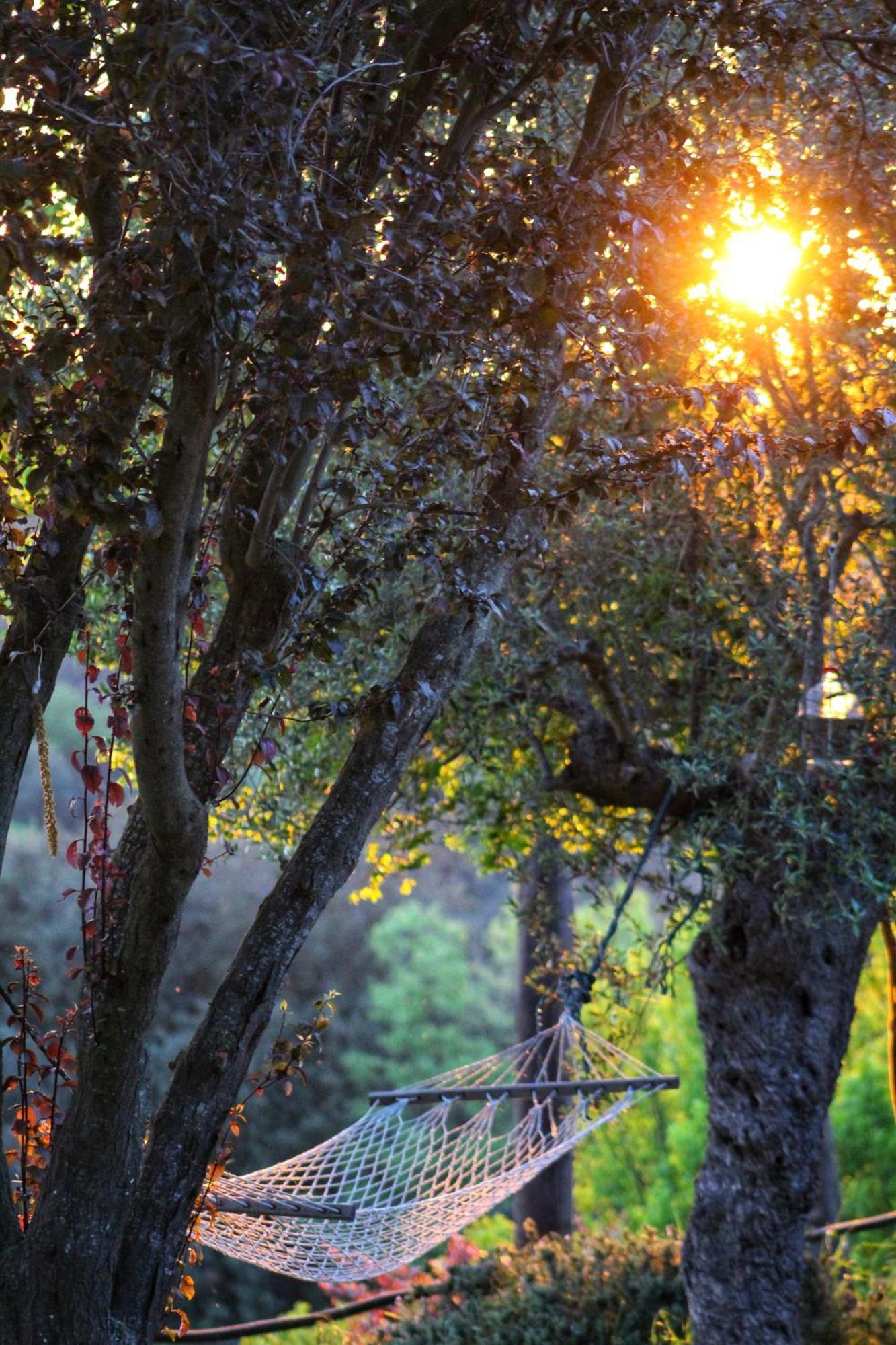 Masia Can Felip Llinars del Valles Bagian luar foto