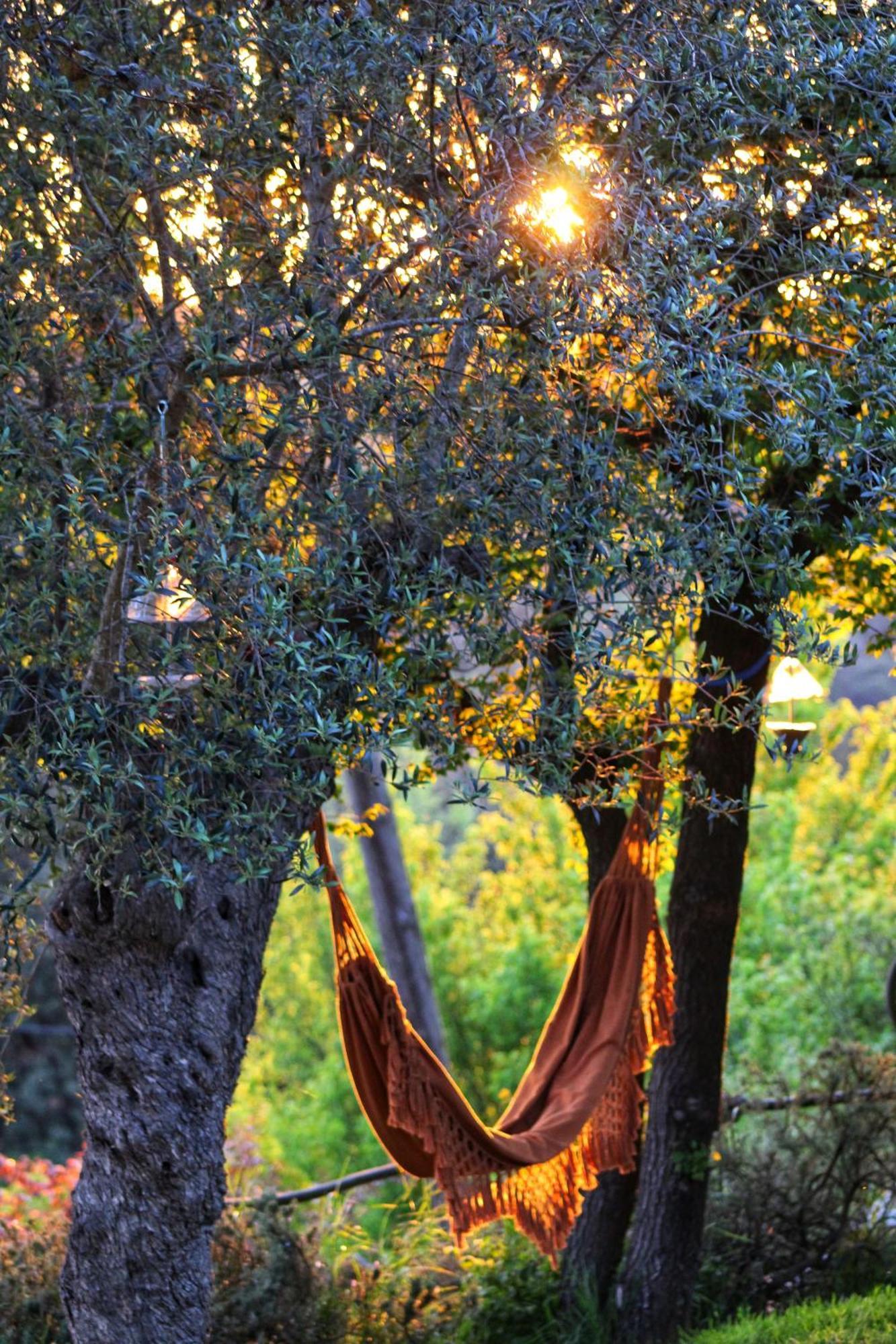 Masia Can Felip Llinars del Valles Bagian luar foto